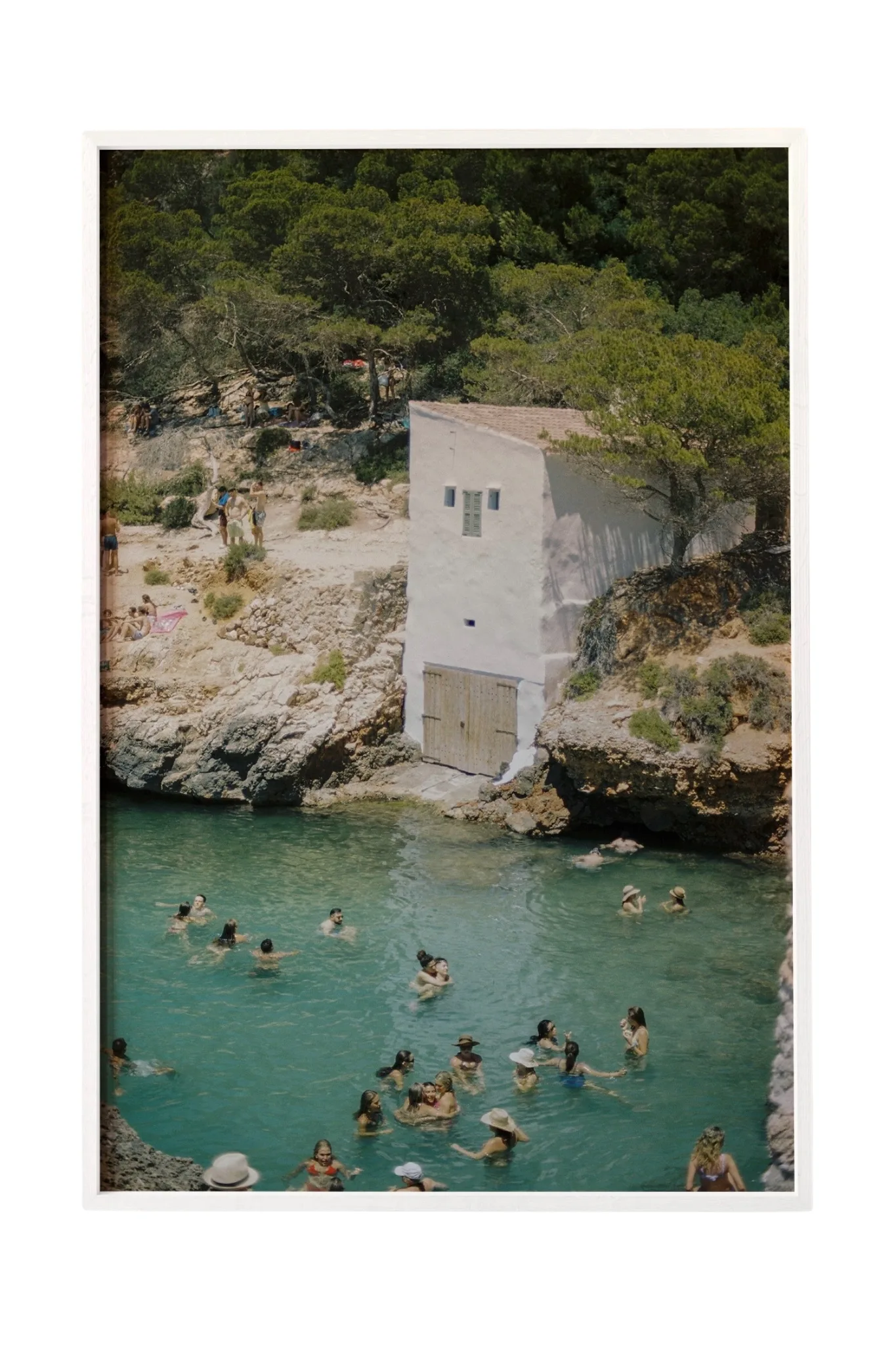 Untitled design (55)