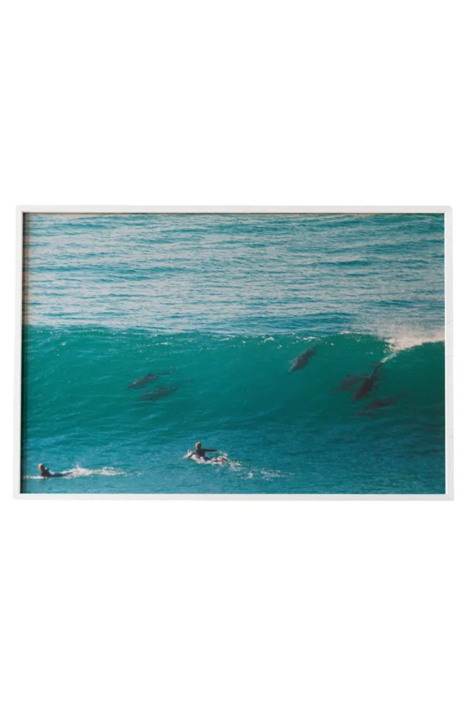 Dolphin Wave | Print