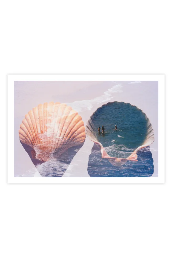 Venus | Limited Edition